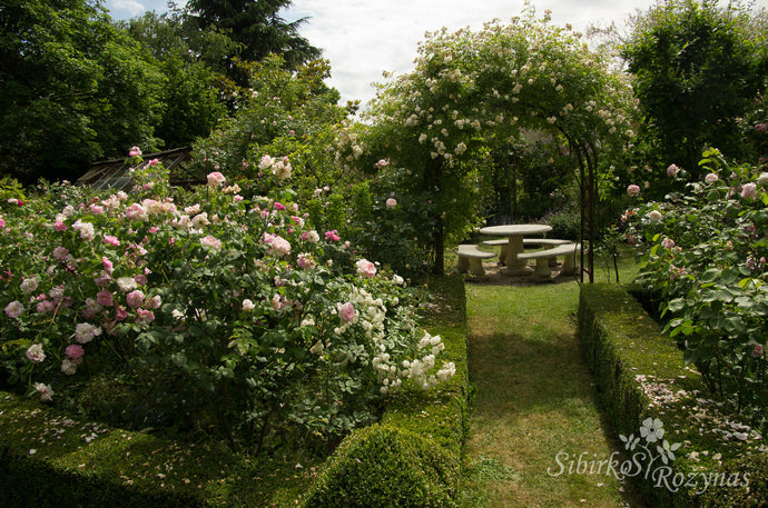 Le Jardin de ma Mere. Prancūzija.