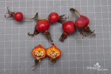 Load image into Gallery viewer, Purola