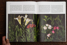 Load image into Gallery viewer, Knyga &quot;Rožės Siela&quot;