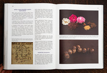 Load image into Gallery viewer, Knyga &quot;Rožės Siela&quot;