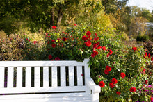 Load image into Gallery viewer, Out of Rosenheim