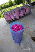 Load image into Gallery viewer, Bulgarijos "centifolia"