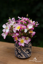 Load image into Gallery viewer, Lyda Rose