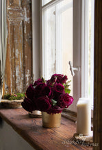 Load image into Gallery viewer, Munstead Wood